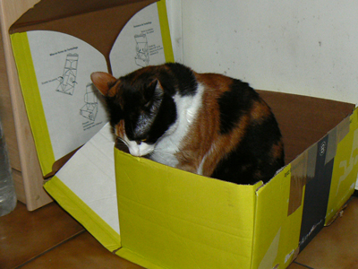 cc_0391.jpg