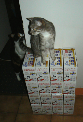 cc_0392.jpg