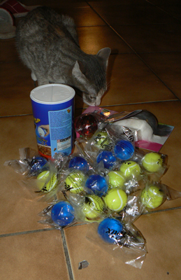 cc_0393.jpg