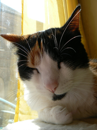 cc_0473.jpg