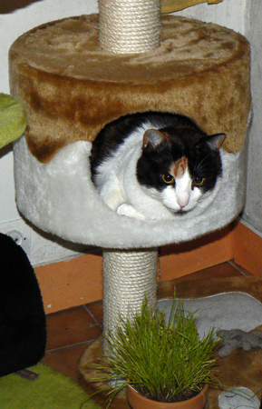 cc_0521.jpg