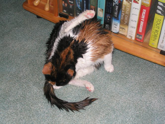 choukette_223.jpg