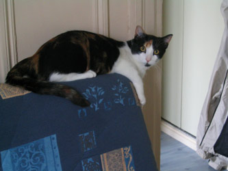 choukette_225.jpg