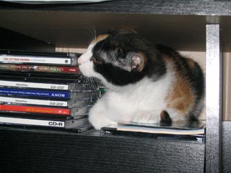 choukette_35.jpg