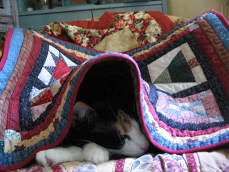 choukette_379.jpg