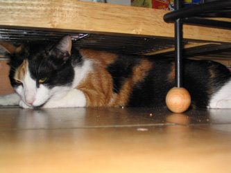 choukette_414.jpg