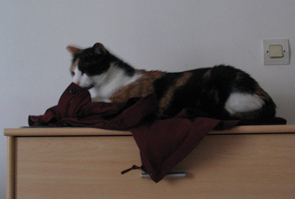 choukette_440.jpg
