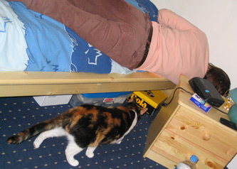 choukette_442.jpg