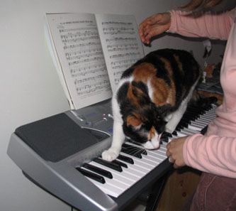 choukette_443.jpg