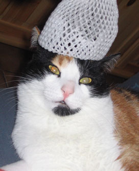 choukette_526.jpg