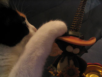choukette_528.jpg